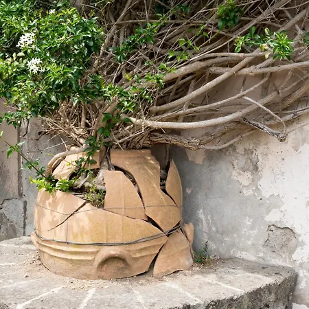 Bed and Breakfast Il Turro Massa Lubrense